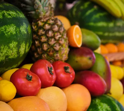 service-home-list-icon